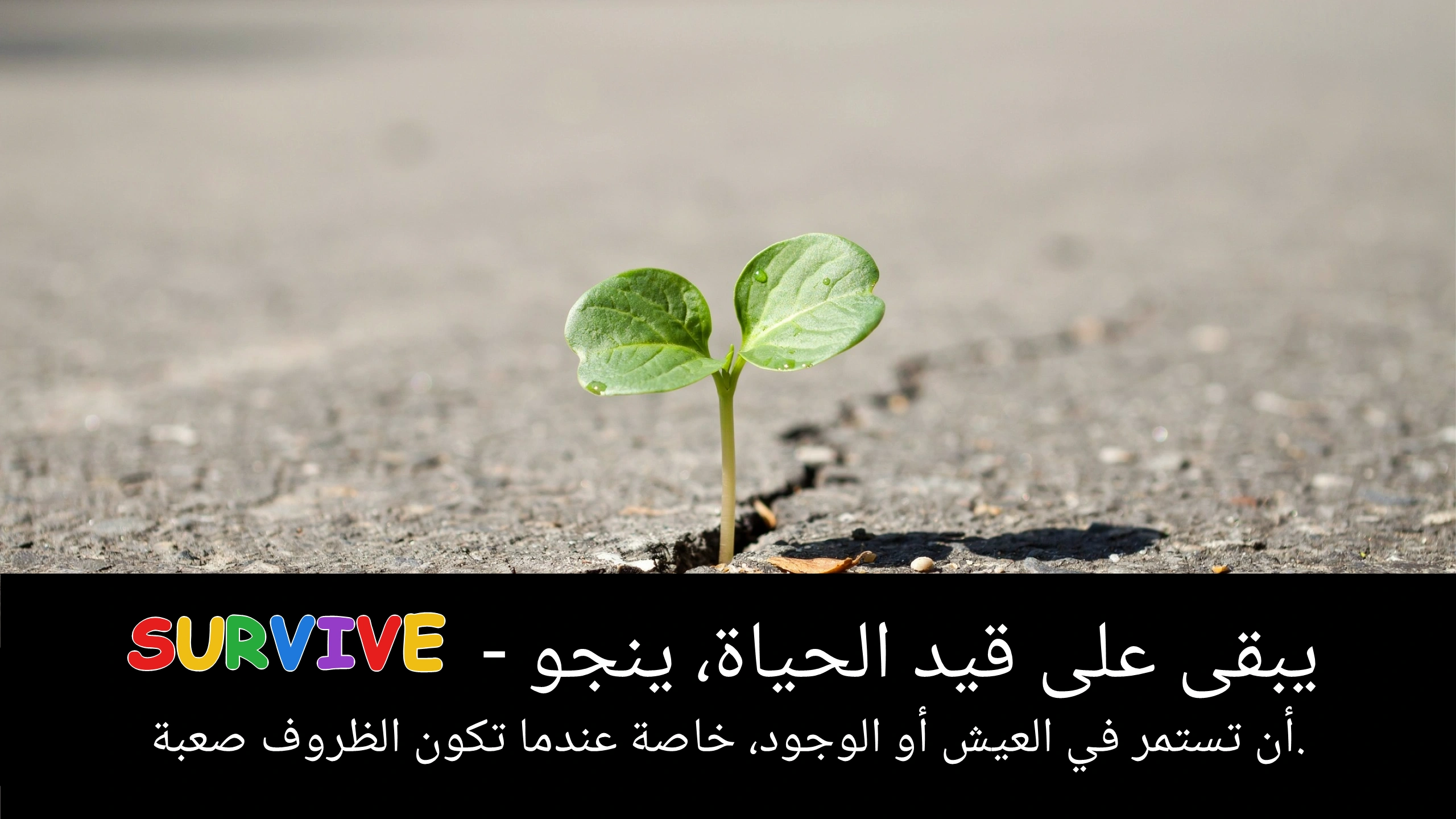 Arabic Illustration for survive